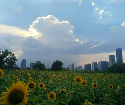 福建省福州市倉山區(qū)蓋山鎮(zhèn)南江濱西大道