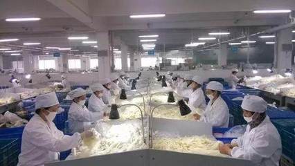 揭秘讓那些讓老人花2萬塊錢買床墊的套路