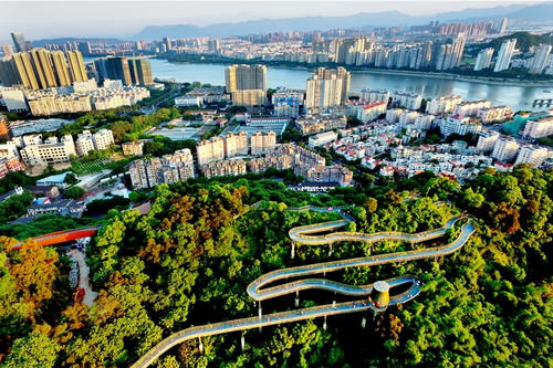 新聞頻道_福州新聞網